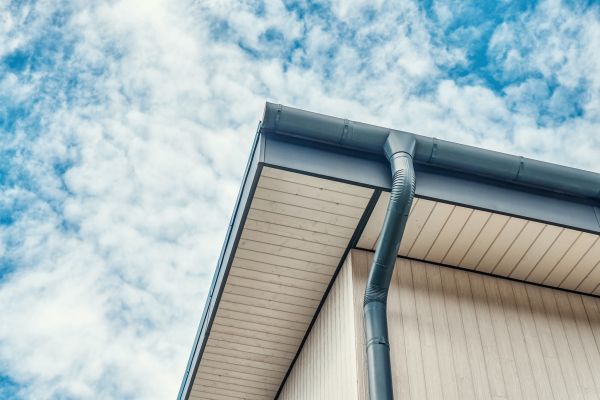 Gutter Fascia Repair in Palmetto