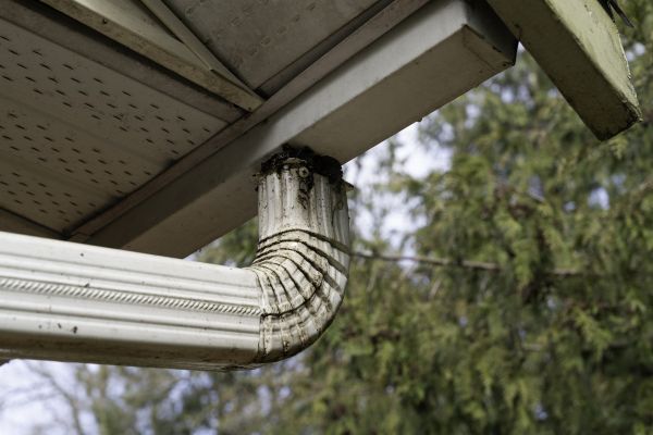 Cost of Roof Drain Replacement in Palmetto