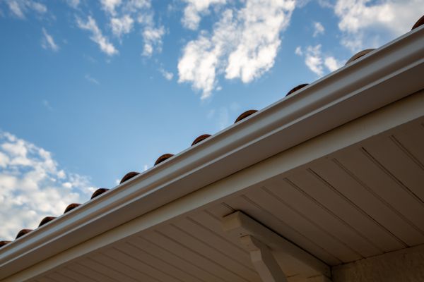 Cost of K Style Gutter Installation in Palmetto