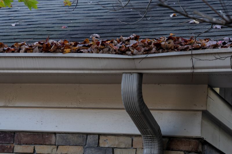 Gutter Repair Services