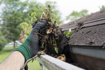 Gutter Cleaning in Spring